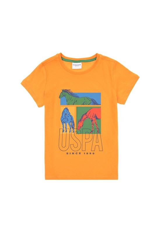 US POLO ASSN Turuncu Erkek Çocuk Regular T-Shirt