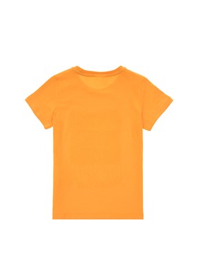 US POLO ASSN Turuncu Erkek Çocuk Regular T-Shirt