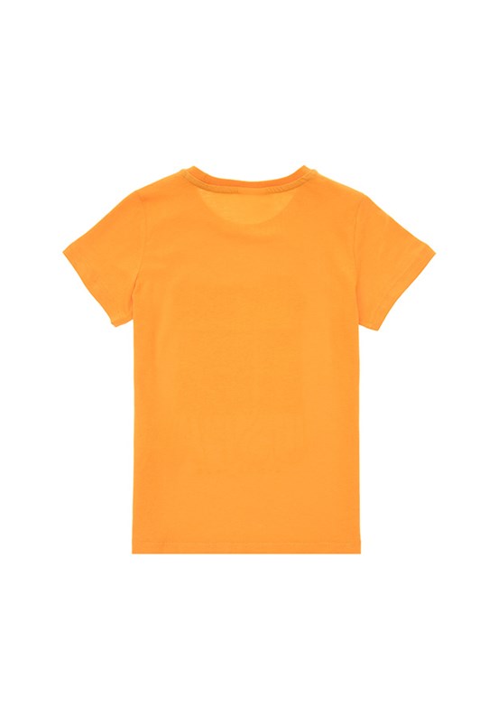 US POLO ASSN Turuncu Erkek Çocuk Regular T-Shirt