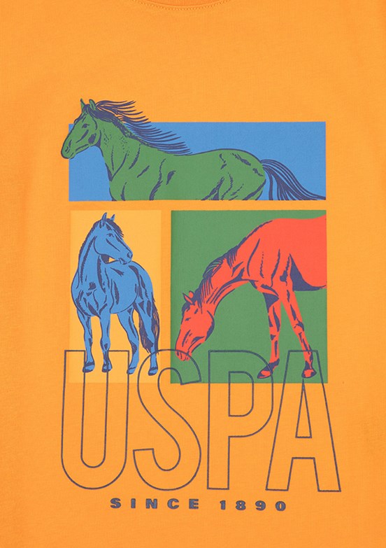 US POLO ASSN Turuncu Erkek Çocuk Regular T-Shirt