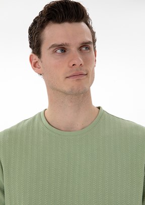 PİERRE CARDİN Yeşil Erkek Regular T-Shirt