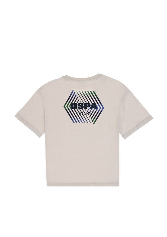 US POLO ASSN Gri Erkek Çocuk Comfort T-Shirt