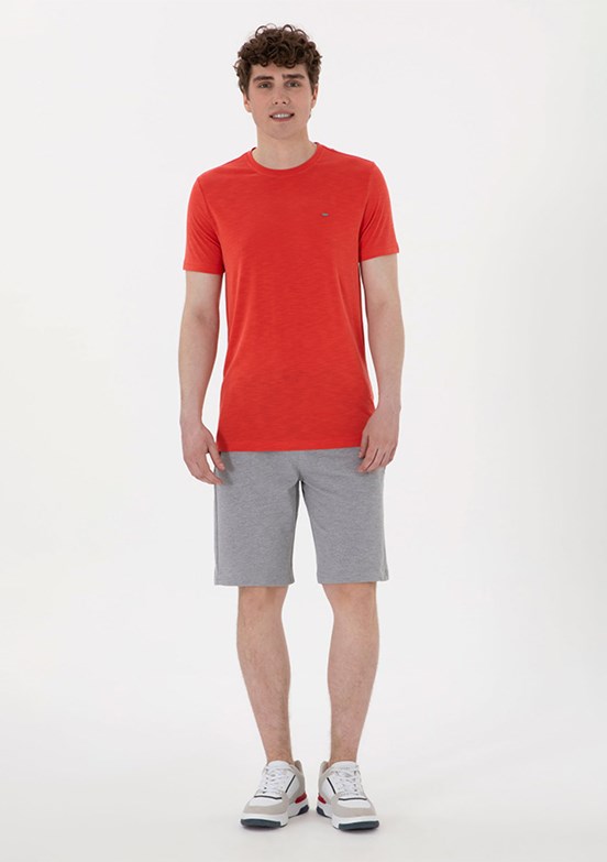 US POLO ASSN Gri Erkek Kapri Şort