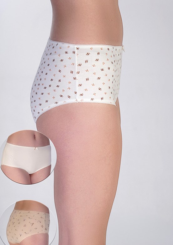 NEW BRA - 3650030000 Kadın Çok Renkli Bato Penye 3'Lü Külot