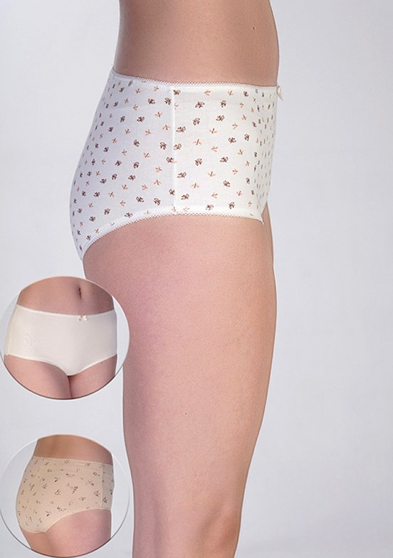 NEW BRA - 3650030000 Kadın Çok Renkli 3'Lü Külot