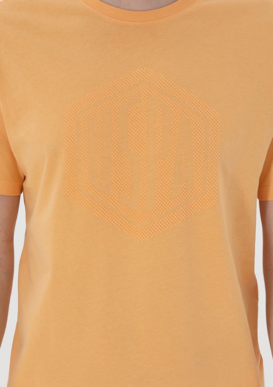 US POLO ASSN Turuncu Erkek Regular T-Shirt