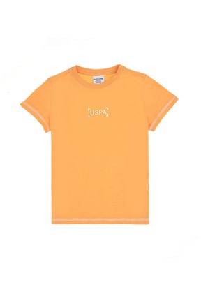 US POLO ASSN Turuncu Erkek Çocuk Regular T-Shirt
