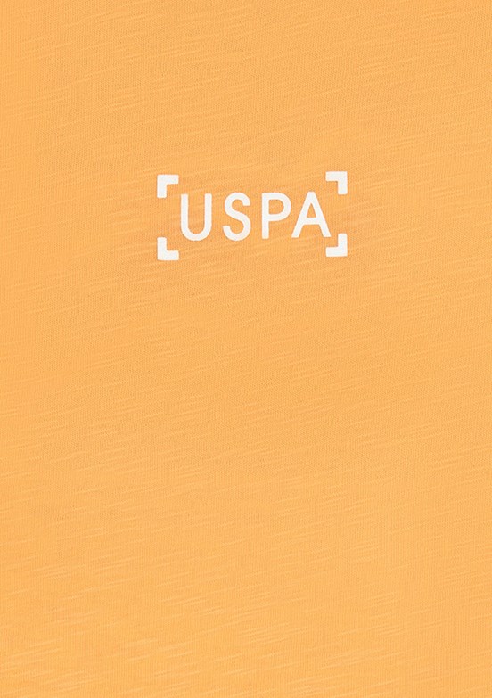 US POLO ASSN Turuncu Erkek Çocuk Regular T-Shirt