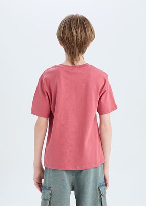 DEFACTO Pembe Erkek Çocuk Kısa Kol T-Shirt