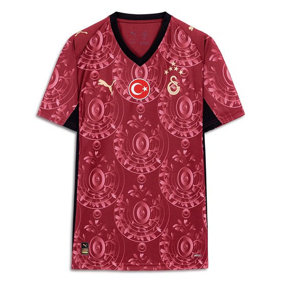 PUMA Galatasaray 2025/2026 Çok Renkli Erkek Alternatif Forma