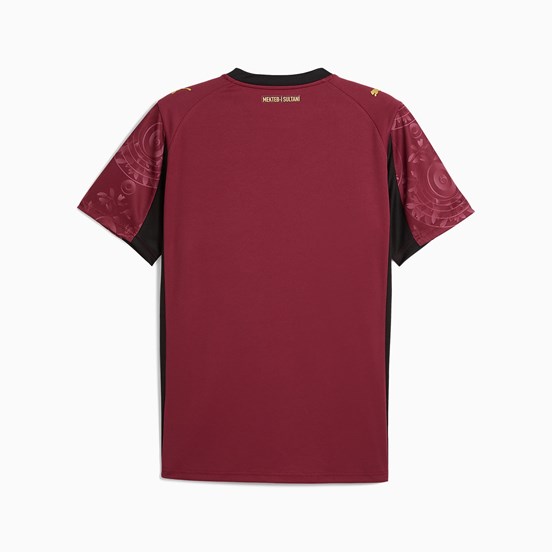 PUMA Galatasaray 2025/2026 Çok Renkli Erkek Alternatif Forma