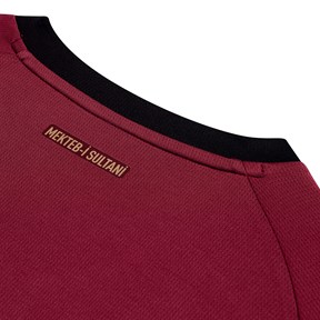 PUMA Galatasaray 2025/2026 Çok Renkli Erkek Alternatif Forma