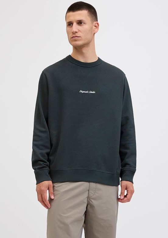 JACK JONES Çok Renkli Erkek Kapüşonlu Sweatshirt