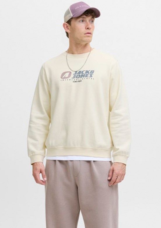 JACK JONES Çok Renkli Erkek Kapüşonlu Sweatshirt