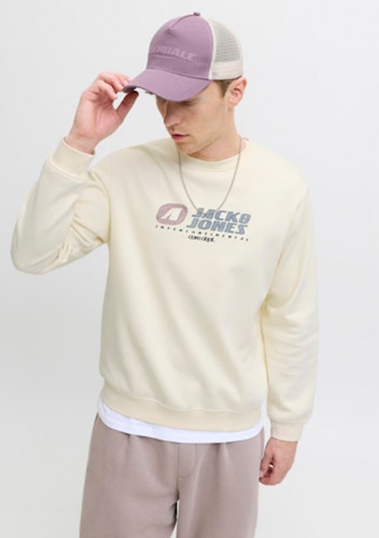 JACK JONES Çok Renkli Erkek Kapüşonlu Sweatshirt