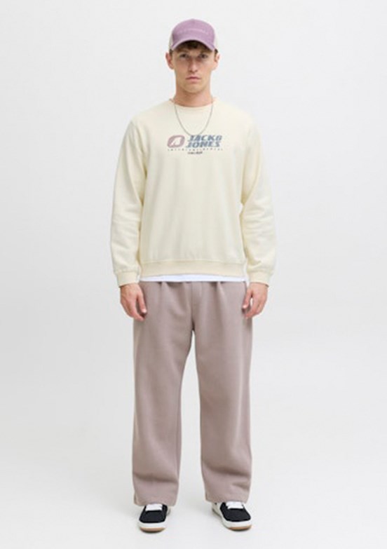 JACK JONES Çok Renkli Erkek Kapüşonlu Sweatshirt