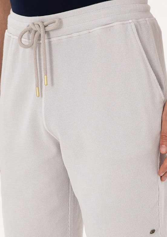 US POLO ASSN Gri Erkek Bermuda Şort
