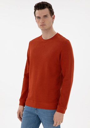 PİERRE CARDİN Çok Renkli Erkek Regular Sweatshirt