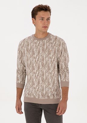 US POLO ASSN Bej Erkek Regular Sweatshirt