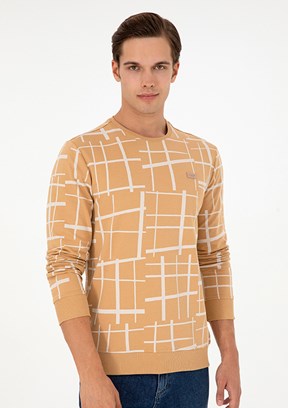 US POLO ASSN Kahverengi Erkek Regular Sweatshirt
