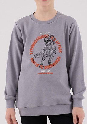 ROLY POLY Gri Erkek Çocuk Eşofman Takımı