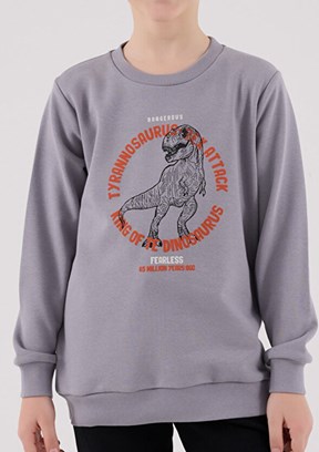 ROLY POLY Gri Erkek Çocuk Eşofman Takımı