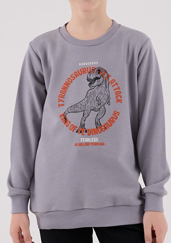 ROLY POLY Gri Erkek Çocuk Eşofman Takımı