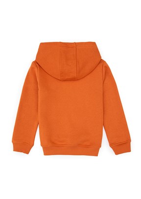 US POLO ASSN Kahverengi Erkek Çocuk Basic Sweatshirt