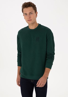 US POLO ASSN Yeşil Erkek Cropped Sweatshirt