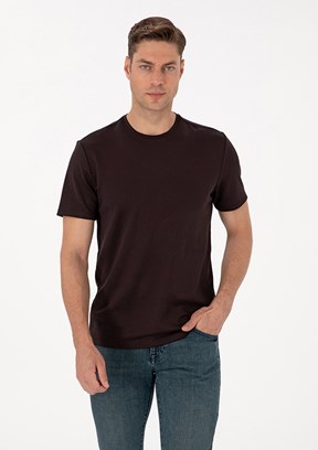 PİERRE CARDİN Erkek Kahverengi Regular T-Shirt