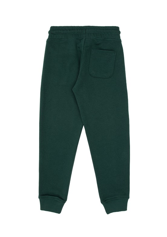 US POLO ASSN Yeşil Erkek Çocuk Regular Pantolon