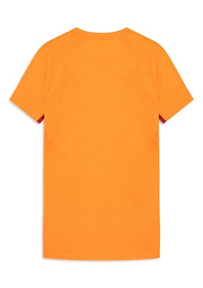 PUMA Gsk Evostripe - 78290606 Erkek Turuncu Baskılı T-Shirt