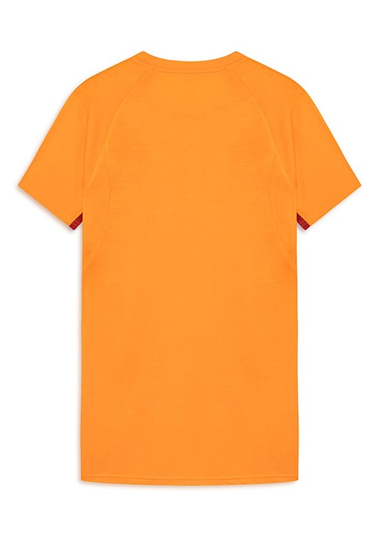 PUMA Gsk Evostripe - 78290606 Erkek Turuncu Baskılı T-Shirt