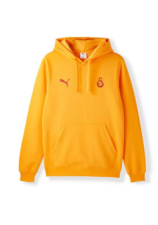 PUMA Gsk Ftbl Essential - 78290806 Erkek Çok Renkli Kapüşonlu Sweatshirt