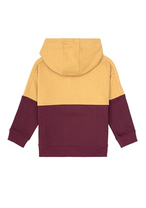 US POLO ASSN Erkek Çocuk Bordo Cropped Sweatshirt