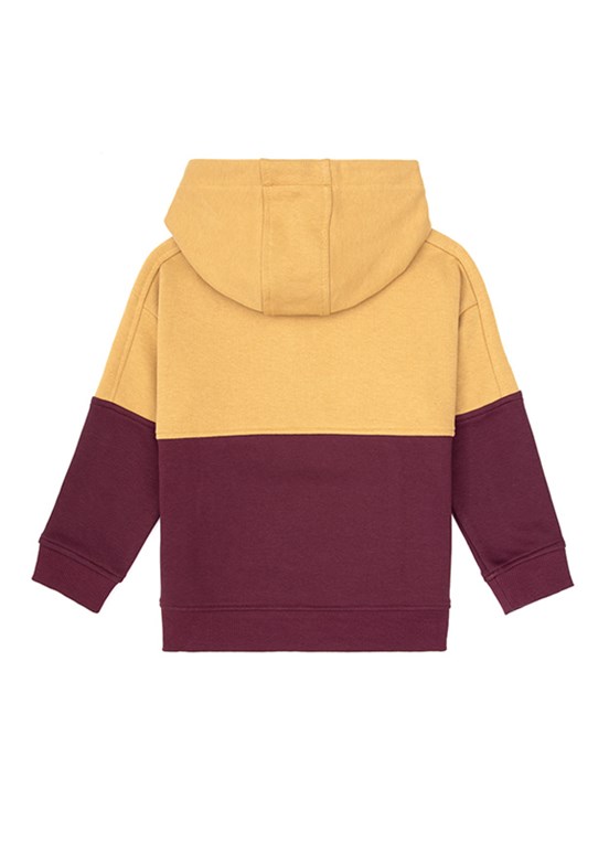 US POLO ASSN Erkek Çocuk Bordo Cropped Sweatshirt
