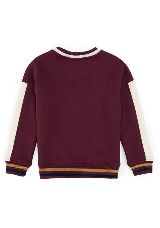 US POLO ASSN Erkek Çocuk Bordo Cropped Sweatshirt