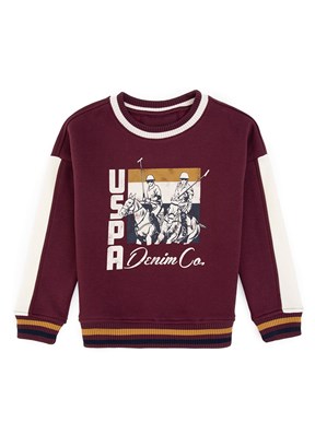 US POLO ASSN Erkek Çocuk Bordo Cropped Sweatshirt