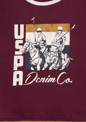 US POLO ASSN Erkek Çocuk Bordo Cropped Sweatshirt