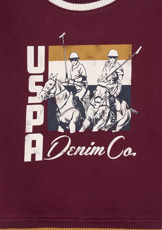 US POLO ASSN Erkek Çocuk Bordo Cropped Sweatshirt