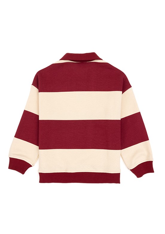 US POLO ASSN Erkek Çocuk Pembe Cropped Sweatshirt