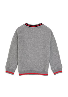 US POLO ASSN Erkek Çocuk Gri Comfort Sweatshirt