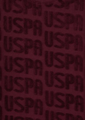 US POLO ASSN Erkek Çocuk Bordo Cropped Sweatshirt