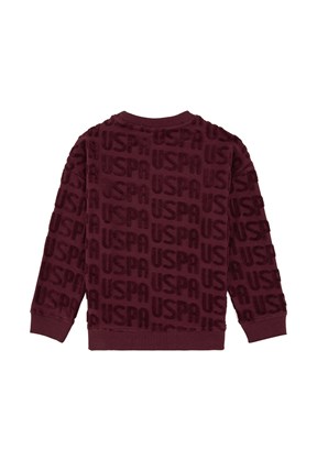 US POLO ASSN Erkek Çocuk Bordo Cropped Sweatshirt