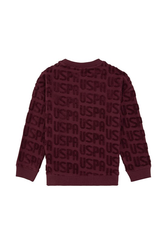 US POLO ASSN Erkek Çocuk Bordo Cropped Sweatshirt