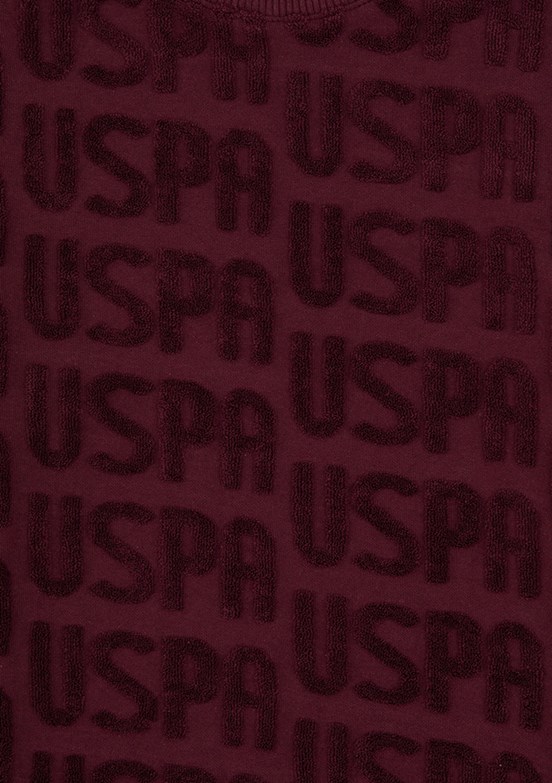 US POLO ASSN Erkek Çocuk Bordo Cropped Sweatshirt