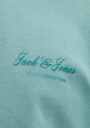 JACK&JONES JJEARCHIVE GRAPHIC TEE - 12287990 Erkek Çok Renkli Baskılı T-Shirt