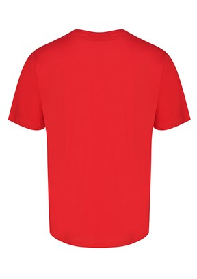HUMMEL hmlT-IC Ico - 911865-9829 Erkek Kırmızı Baskılı T-Shirt