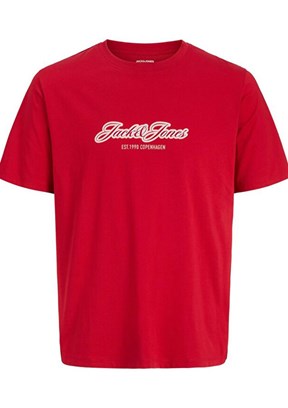 JACK JONES Jorcatskılls - 12297893 Erkek Kırmızı Bisiklet Yaka T-Shirt