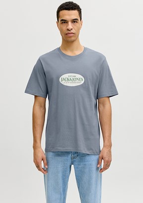 JACK JONES Jorcatskılls - 12297891 Erkek Gri  Bisiklet Yaka T-Shirt